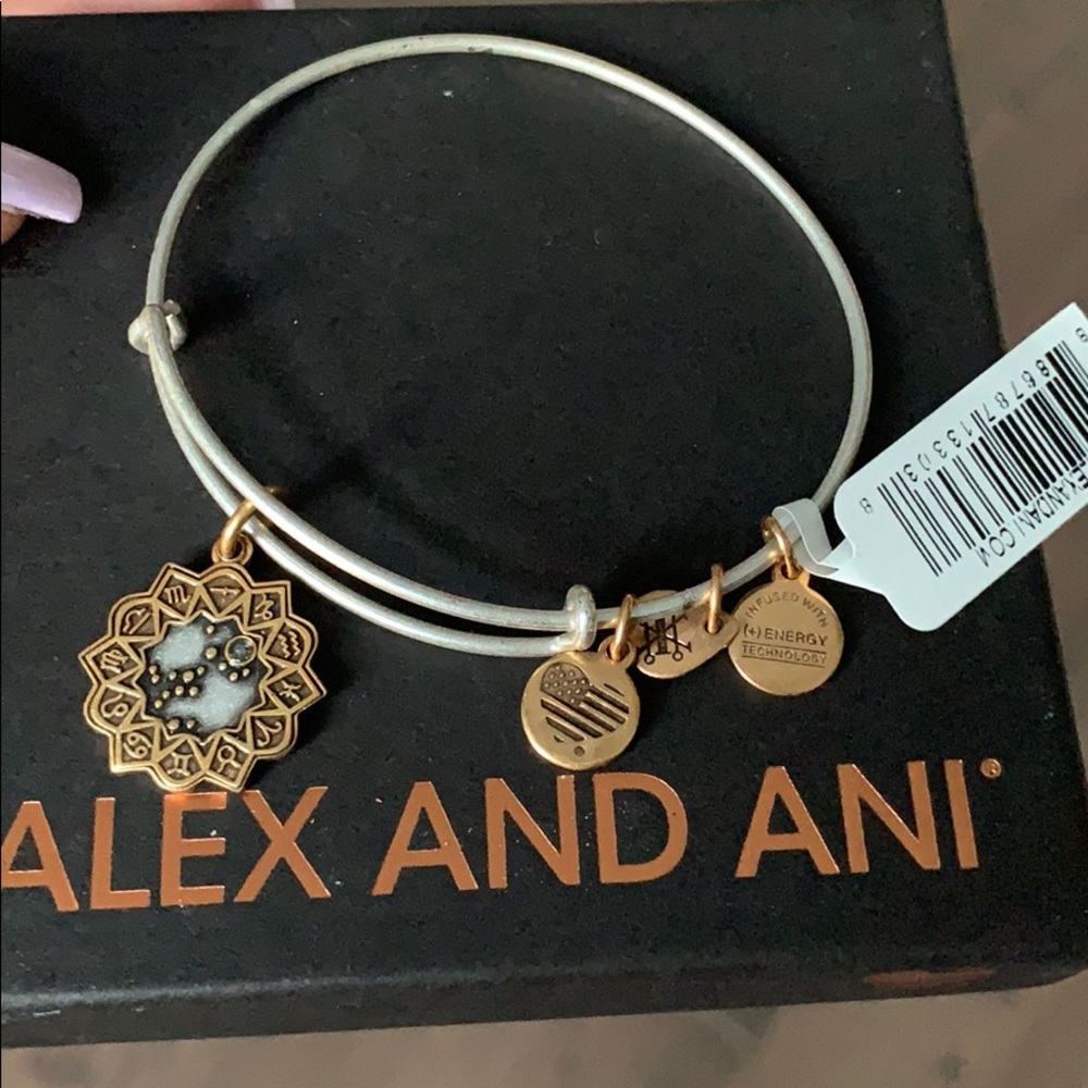 Alex and Ani Bangle